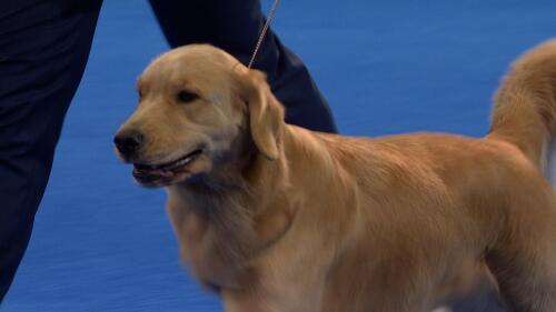 2021欧洲杯决赛赛程：具体时间与比赛安排一览